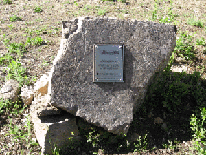 plaque (63K)